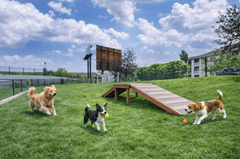 1/2 Acre leash-free dog park